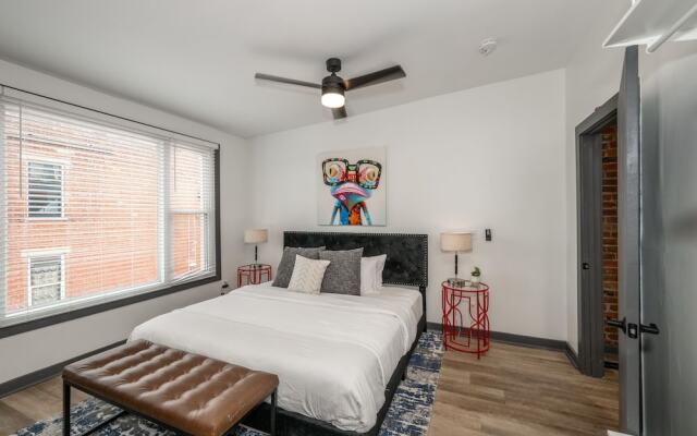 Mansfield Modern Oasis