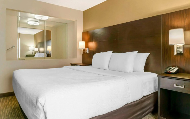 Quality Inn & Suites