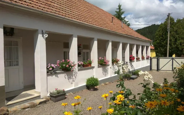 Ribizli Vintage Vendégház - фото 2