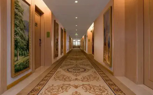 Vienna International Hotel (Wugang Shaoyang)