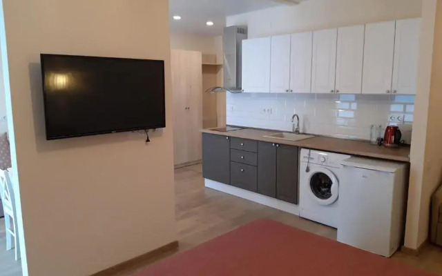 Green Line Apartment