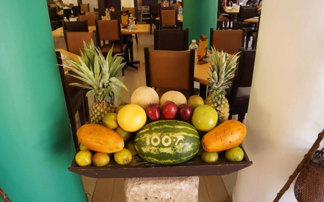 Hotel Jardines Del Cerrillo