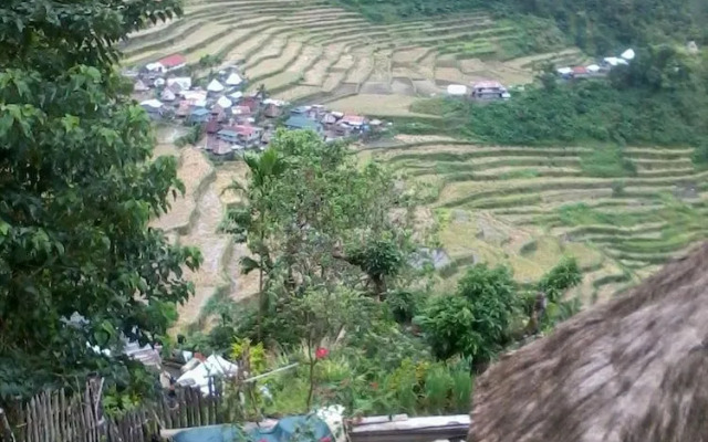 Ramons Native Homestay and Restaurant