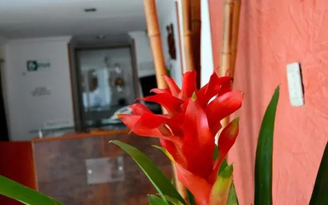 Hotel Calle 112