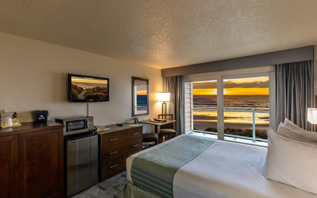 Driftwood Shores Resort And Conference Center - фото 5