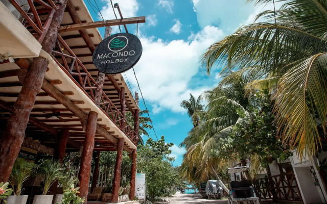 Macondo Holbox
