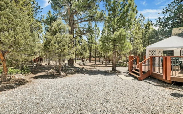 ONE Hundred Pines Ranch #2005