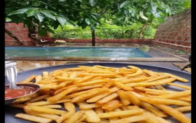 Shruti's Stonarc Resort