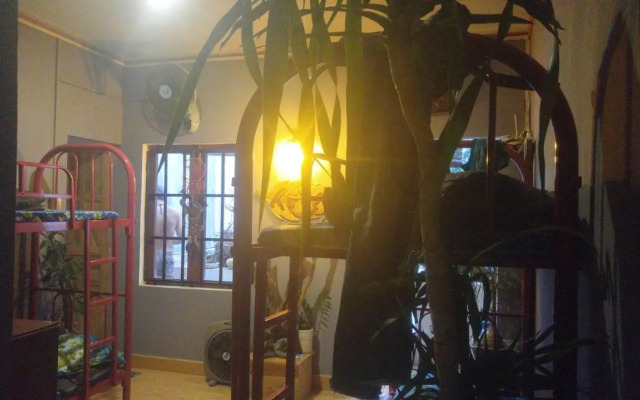 Rong Homestay