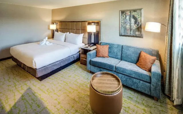Pullman Plaza Hotel
