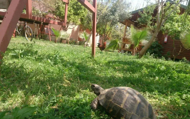 Sera Pansiyon
