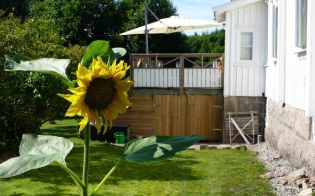 Rosenhill Bed & Breakfast