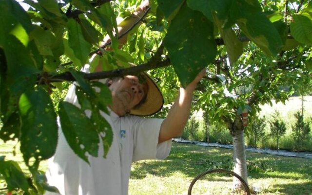 Chambre d'hôtes Mas Castel