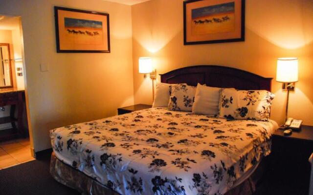 Americas Best Inn And Suites Arlington, Tx