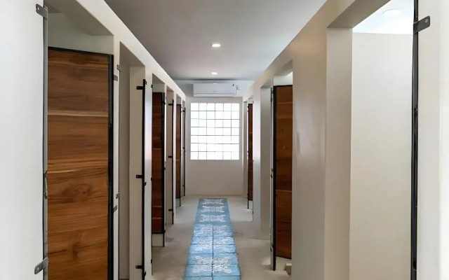 Seaesta Komodo Hotel & Hostel