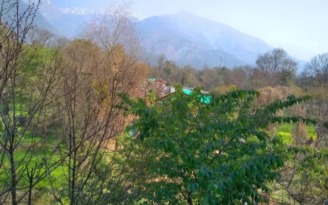 OYO 7026 Highland Village Resort