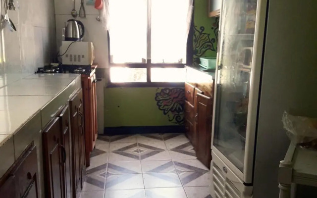 Hostel Damaris