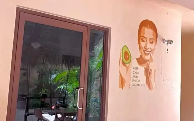 Macondo Raíz Holbox