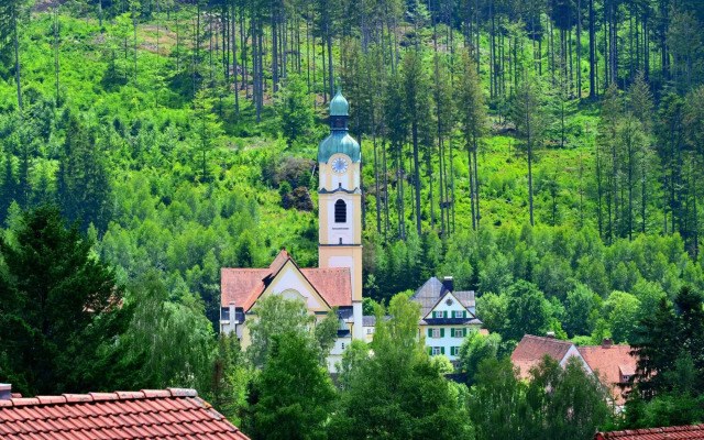 Wohnung in Bayerisch Eisenstein mit Garten