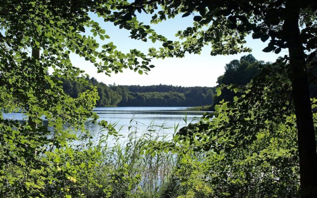 Palac Mysliwski - Orle