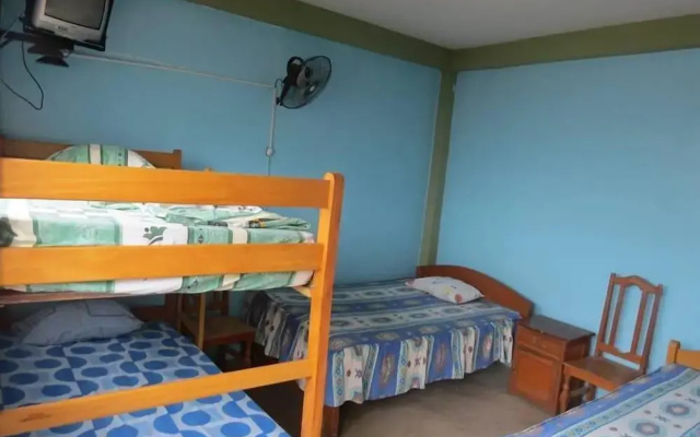 Bambú - Hostel