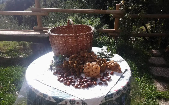 Bed and Breakfast Al posto bello