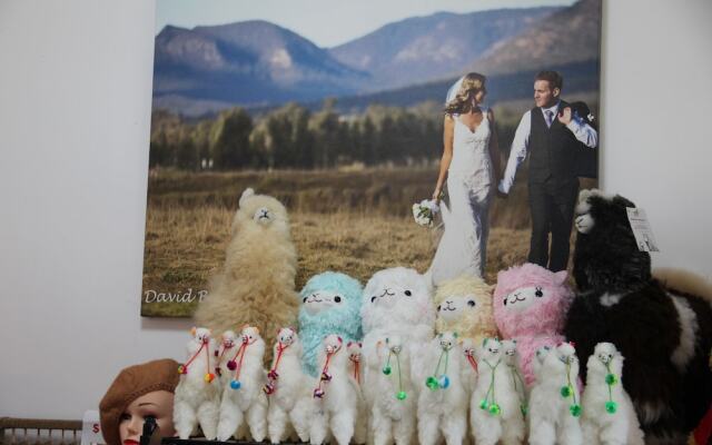 Starline Alpacas Farmstay Resort