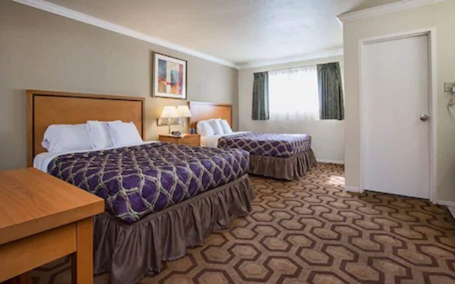 SOMA Park Inn – Civic Center