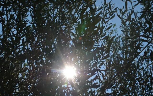 Apartments Ostanek 2