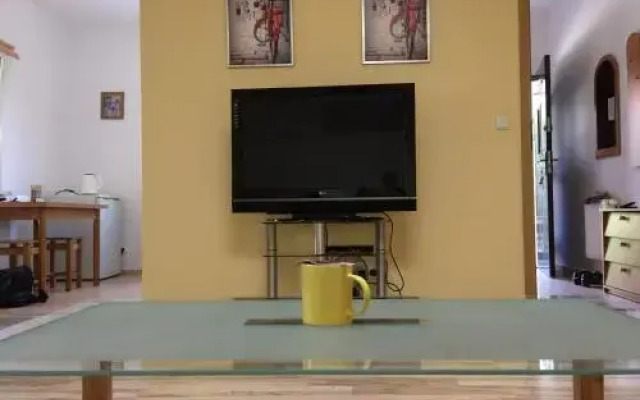 Studia Pasieka