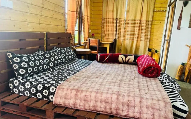 20/20 wood cabana