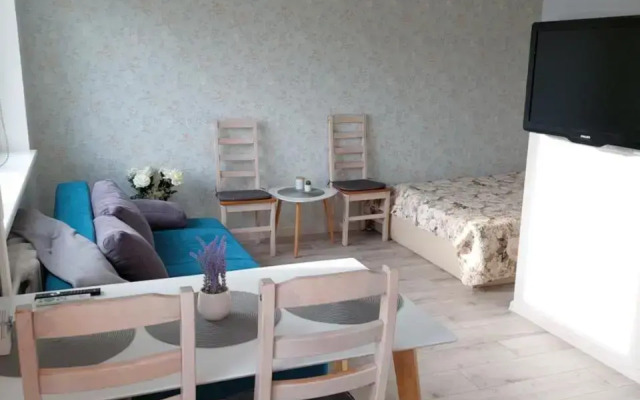 Roosi apartment Haapsalu