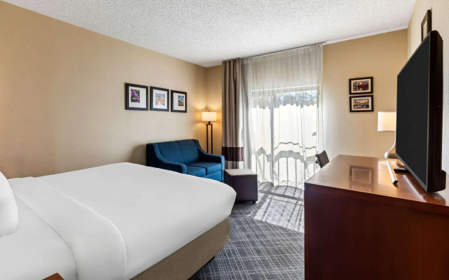 Comfort Inn Roswell-Dunwoody