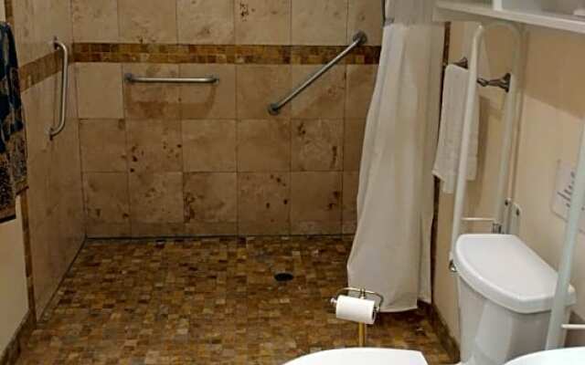 Lionheart Guesthouse and B&B