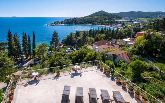 Apartments Katica