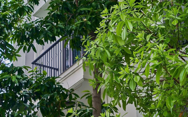 Misaki Saigon Airport