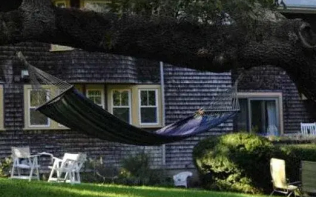 The Nobnocket Boutique Inn( Ex. The Doctor's House)