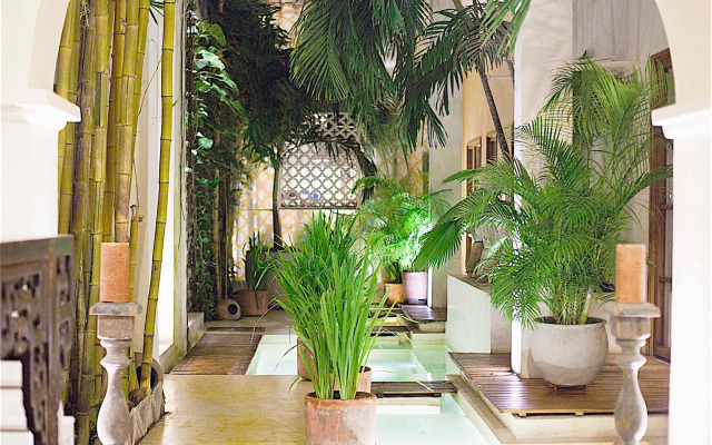 Hotel Casa Lola Deluxe Gallery