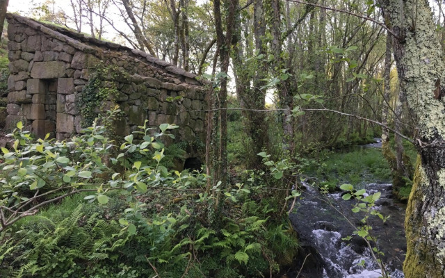 Alameda Home Pontevedra