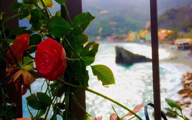 Hotel Suisse Bellevue