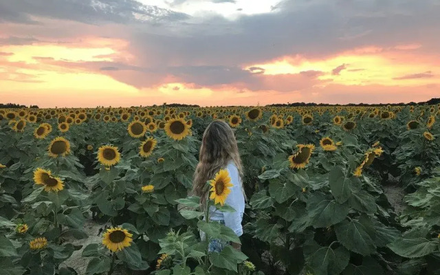 Sans Souci Bed and Breakfast with Restaurant