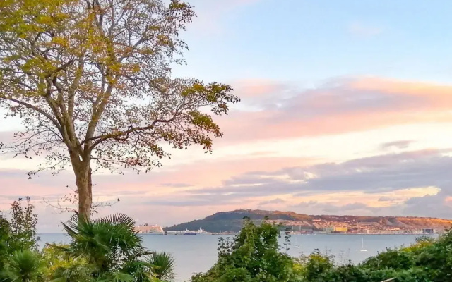Castle Cove View