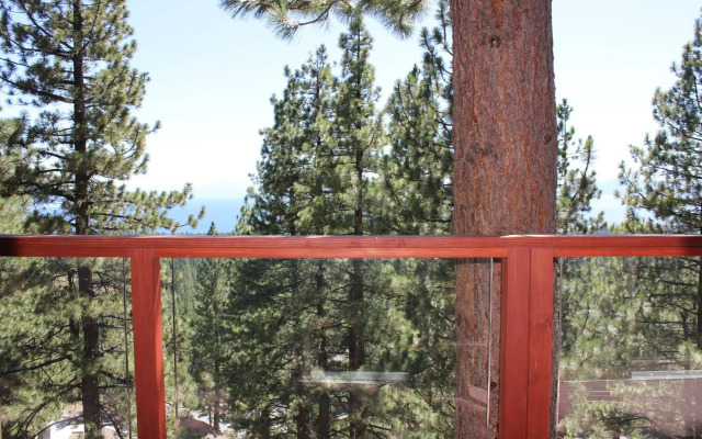 Tahoe Chaparral