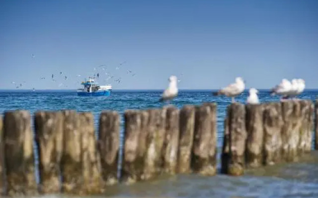 Instytut Zdrowia Sofra Fit & SPA Mielno