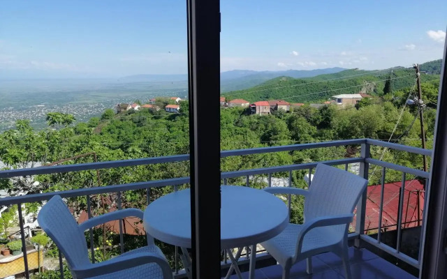 Guest House Alazani Valley