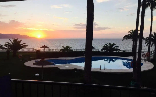 Palmeras 43 Menyber