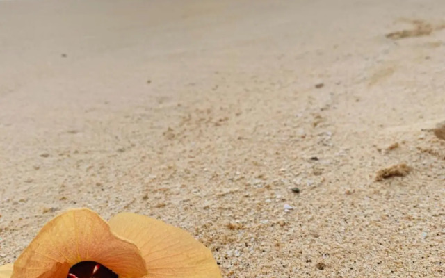 Vaima Beachfront Apartments