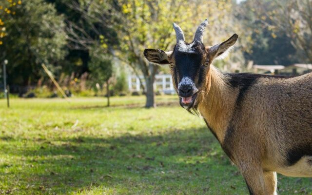 The Smoakhouse Ranch