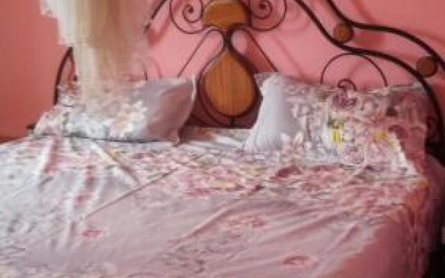 Le Lion Des Flandres