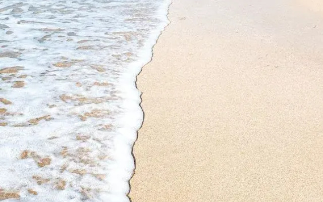 Pousada Paraíso das Palmeiras